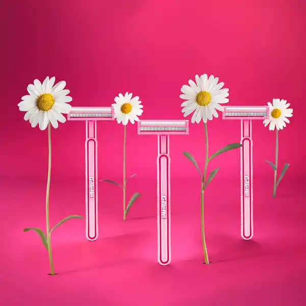 Prestobarba Gillette Daisy Maquina de Afeitardesechable Mujer