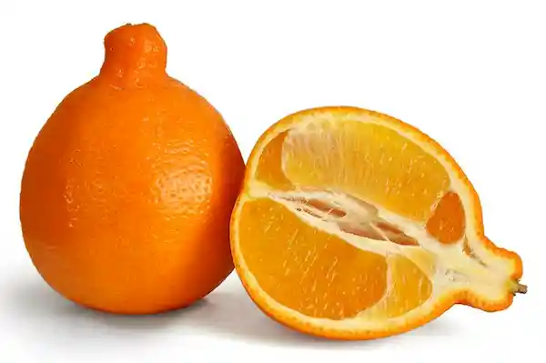 Naranja Tangelo