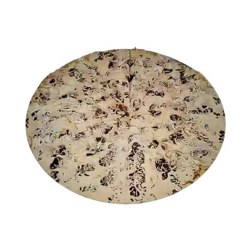 Pizza de Pollo y Champiñón Médium