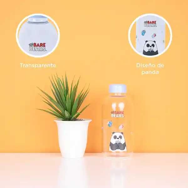 Botella de Vidrio Colección Osos Escandalosos Panda Miniso