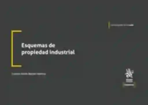 Esquemas de Propiedad Industrial - Beltran Valencia