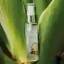 Sienna Elixir Capilar