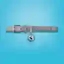 Collar Mascotas Dije Redondo Grande Serie Silver Gray Miniso