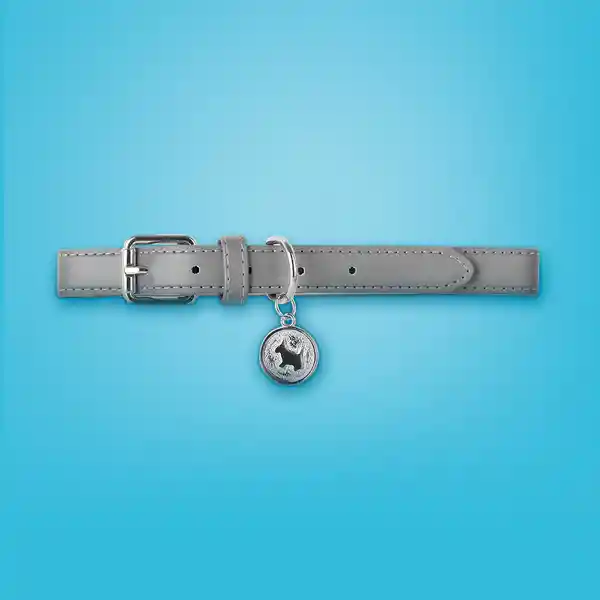 Collar Mascotas Dije Redondo Grande Serie Silver Gray Miniso