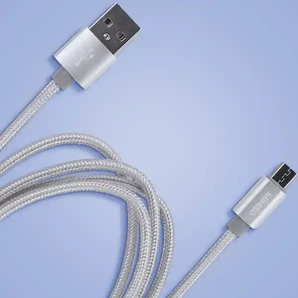 Cable de Datos Tipo C Plateado Miniso