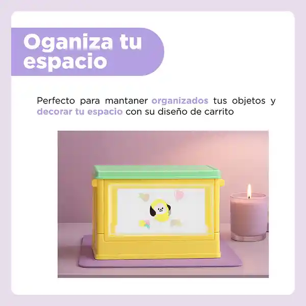 Organizador Minicaja Plegable Puerta Chimmy Serie Bt21 Miniso