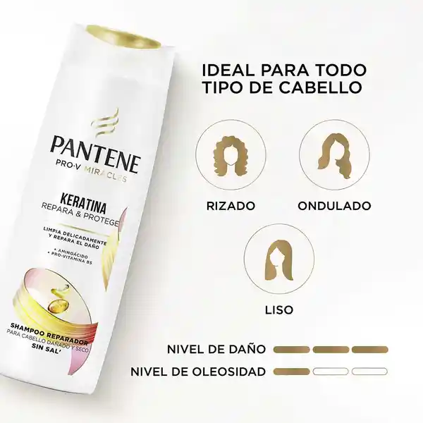 Pantene Shampoo Sin Sal Keratina 300 mL