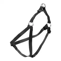 Totto Arnes De Caminata Brunno Xl 6re