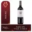 Casillero Del Diablo Vino Tinto Malbec