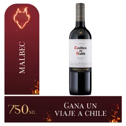 Casillero Del Diablo Vino Tinto Malbec