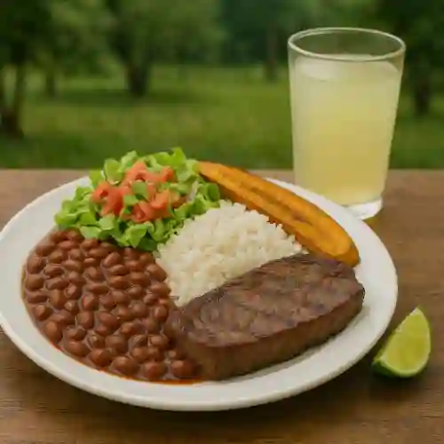 Almuerzo Del Día