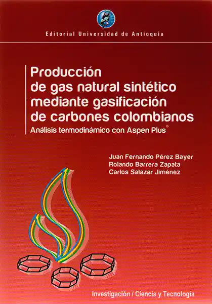 Producción de Gas Natural Sintético Mediante