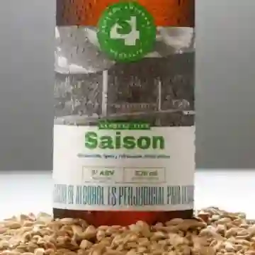 Cerveza Artesanal 4Sur Saison