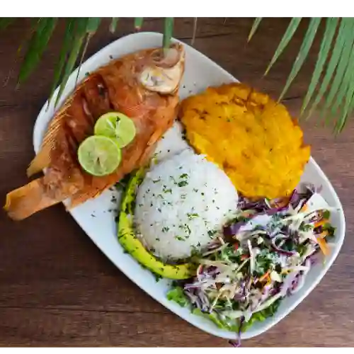 Mojarra Frita