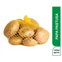 Papa Pastusa EC x 1500