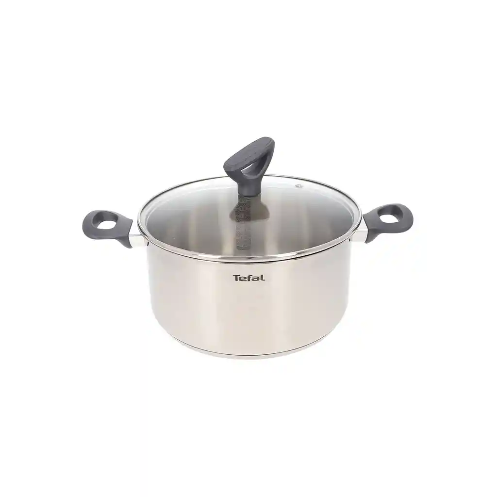   T-Fal  Olla 24 Cm Con Tapa Acero Inoxidable Daily Cook 