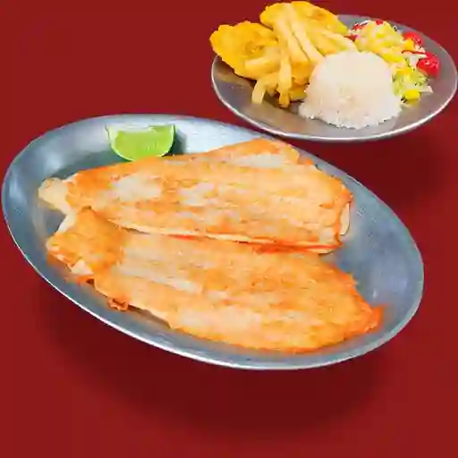 Robalo Apanado