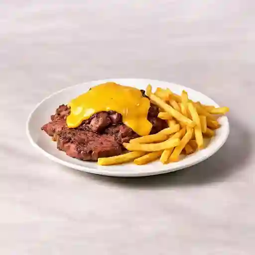Carnivora