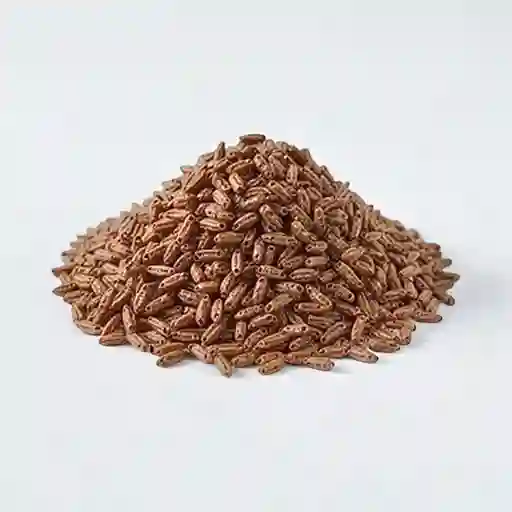 Chocokryspis