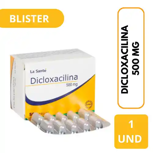 Dicloxacilina Blister (500 mg)