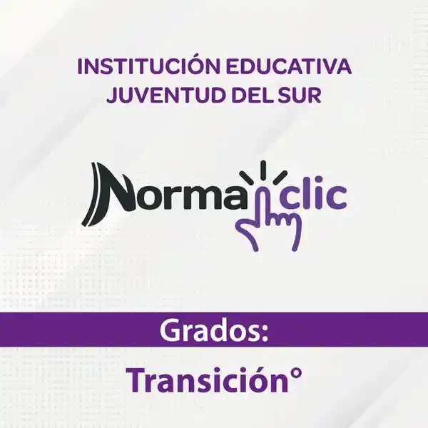 Institución Educativa Juventud Del Sur Transición - Educactiva