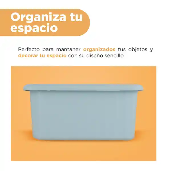 Organizador Plástico Cesta de Almacenamiento Verde Miniso