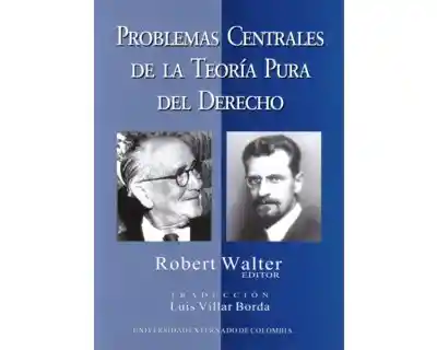 Problemas Centrales de la Teoría Pura Del Derecho