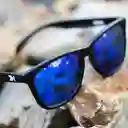Knockaround Gafas Jelly Premiums Sport Negro / Azul