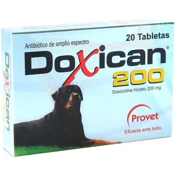 Doxican 200 caja x 20 tab