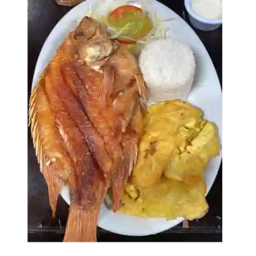 Mojarra