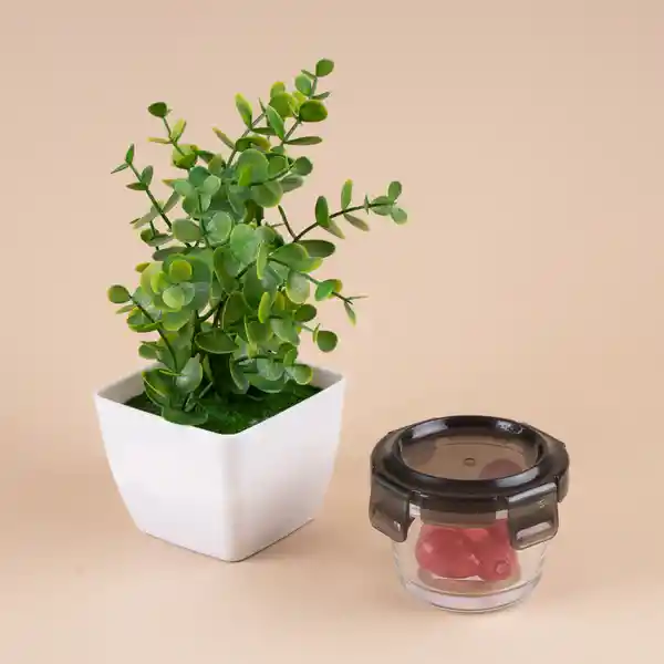 Recipiente Mini Para Alimentos Vidrio Serie Silver Grey Miniso