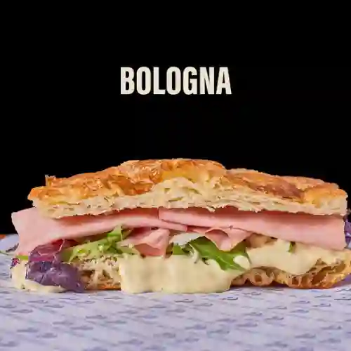 Bologna