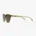 Barner Gafas Sun Astoria Verde