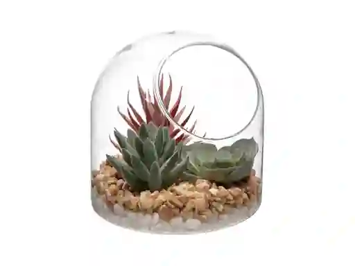 Maceta Cactus Vidrio Casaideas