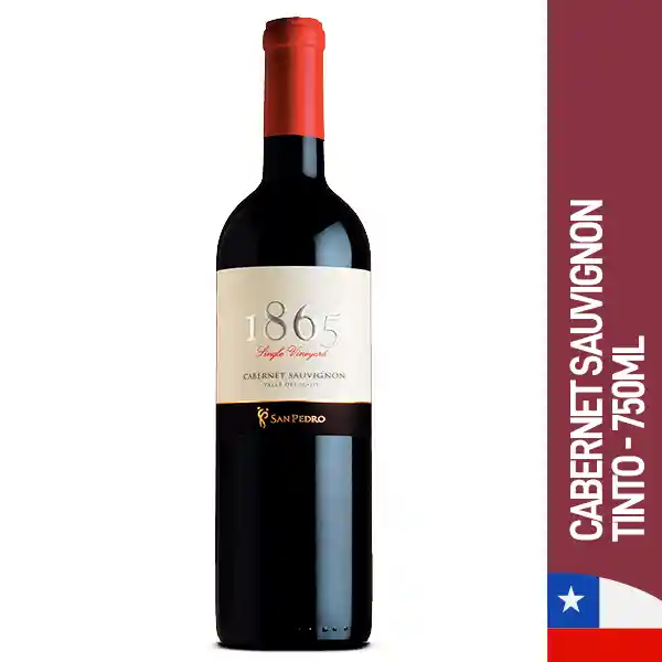 1865 Vino Tinto Cabernet Sauvignon Botella 750 ml
