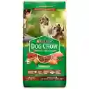 Dog Chow Alimento Para Perro Extra Life 17 Kg