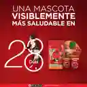 Comida para perro Purina One adultos medianos y grandes pollo y carne X 2kg