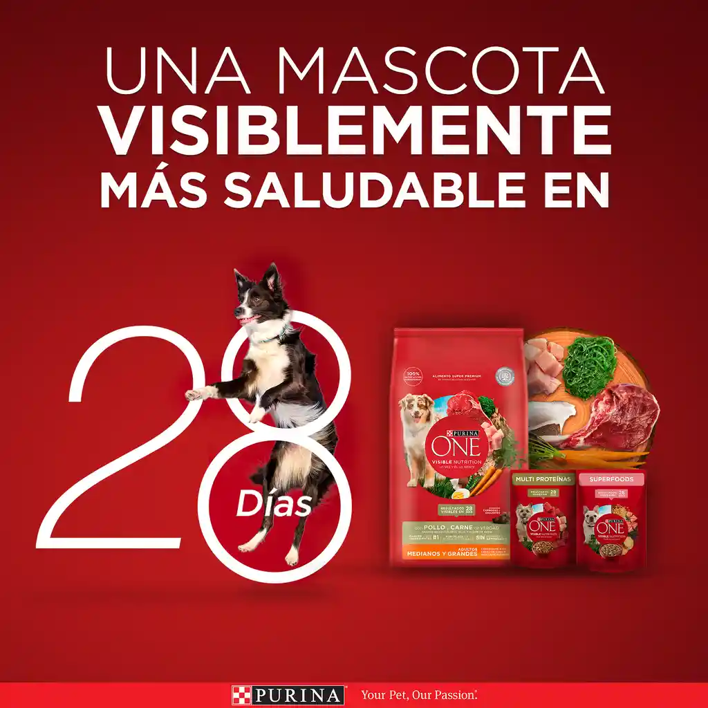 Comida para perro Purina One adultos medianos y grandes pollo y carne X 2kg