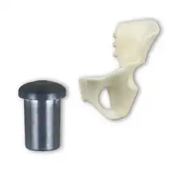 Pelvis Izquierda Peso Peana Rba
