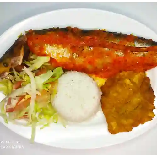 Azulejo en Salsa