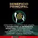 Comida para perro Purina Pro Plan Veterinary Diets EN Dietas Gastroentérico x 7,5kg