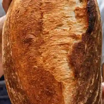 Masa madre bloque