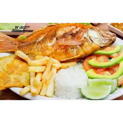 Mojarra Frita