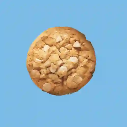 Galleta de Avena