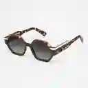 Tiwi Gafas de Sol Valette Diseño Español Café