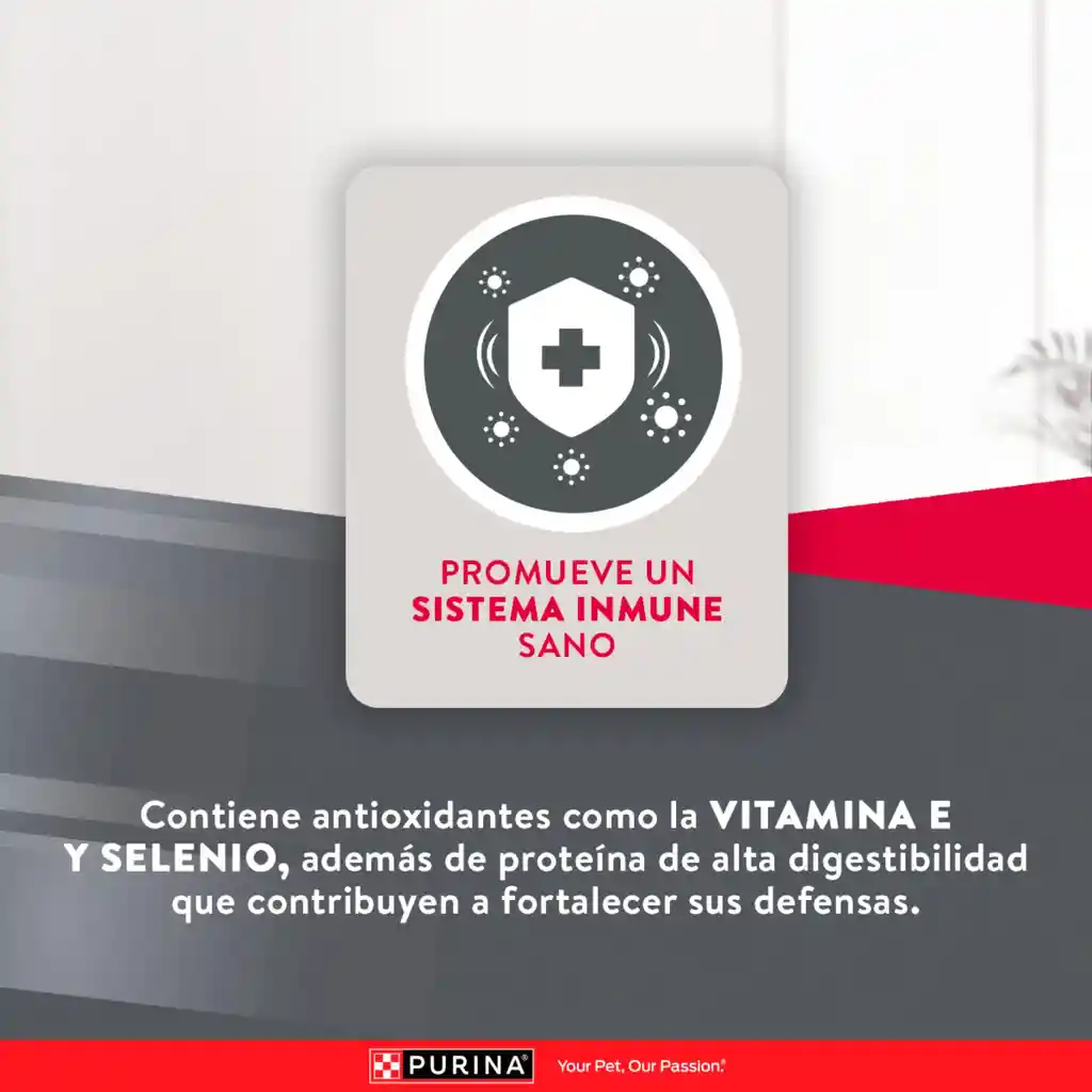 Comida para perros EXCELLENT ADULT Razas Pequeñas x 3 kg