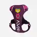 Arnés Para Perro Mountain Morado Felcan