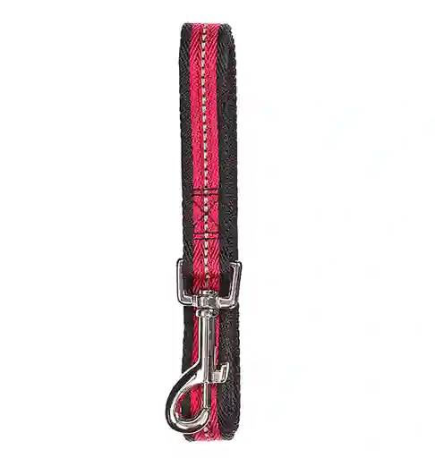 Pawise Correa Reflectiva Roja S