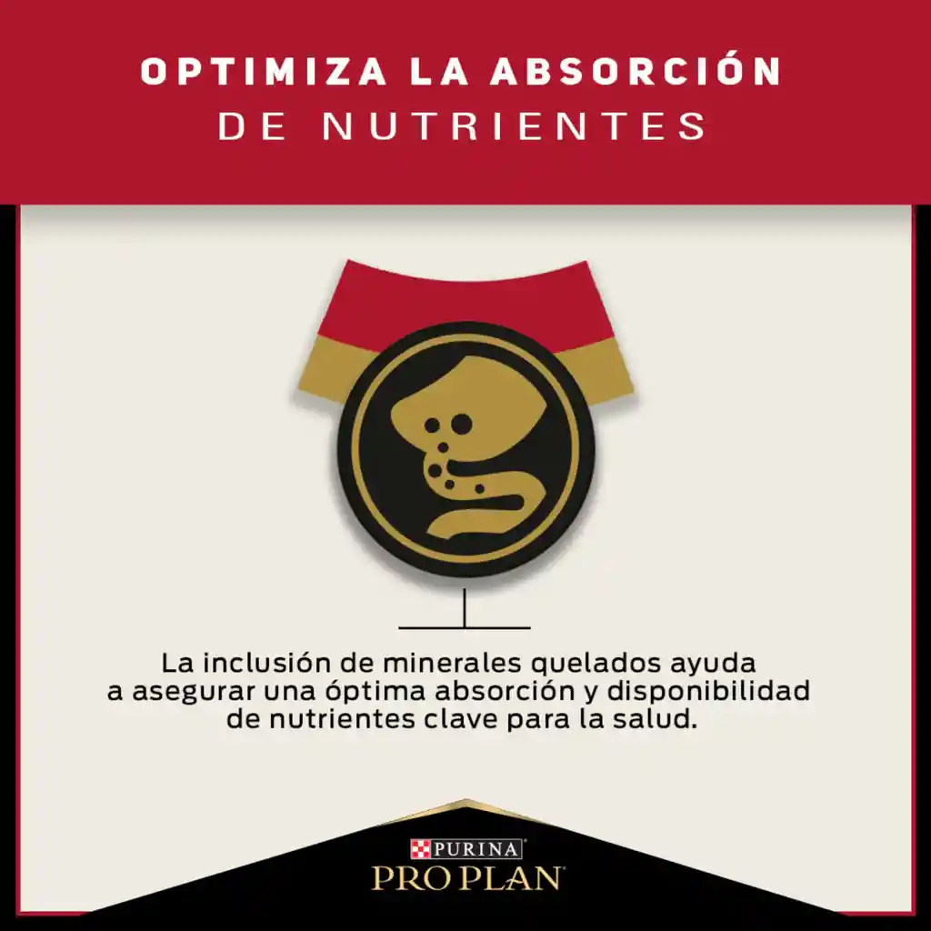 Comida para Gatos Adultos Purina Pro Plan x 1,5 kg