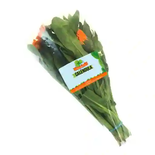 Caléndula Fresh Aromatic